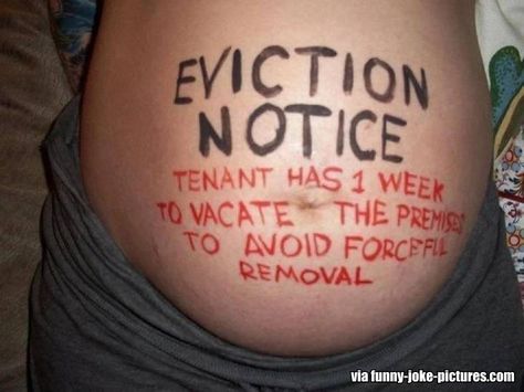 Eviction Notice, Pregnancy Humor, Pregnant Belly, Baby Reveal, Baby Pics, Dating Humor, Baby Bumps, Maternity Photos, Makes Me Laugh