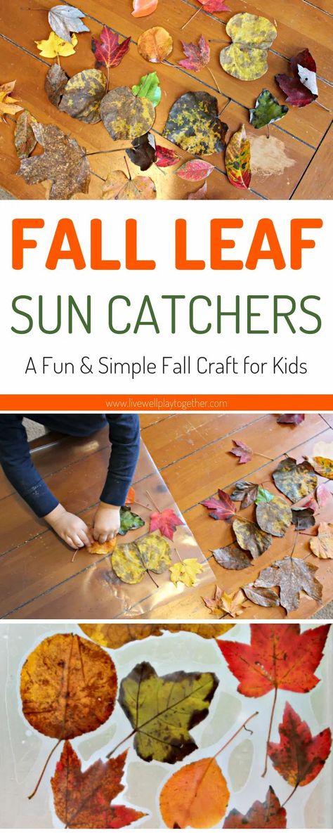 Fall Leaves Activities, Fall Activity For Kids, Contact Paper Crafts, Kids Crafts Toddlers, Fall Crafts For Toddlers, Leaf Craft, Autumn Leaves Craft, Leaf Projects, Fall Preschool Activities