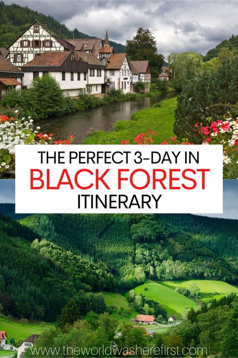 Day Trips From Stuttgart Germany, Germany Vacation Destinations, Black Forest Vacation, Visit Germany Bucket List, Black Forest Travel, South Germany Travel, Black Forest Germany Itinerary, Germany Itinerary 10 Days, Germany Itinerary 1 Week