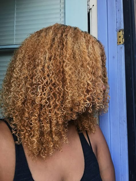 Blonde Natural Hair, Dyed Curly Hair, Ginger Hair Color, Dyed Natural Hair, Honey Blonde Hair, Pretty Hair Color, Dye My Hair, Hair Dye Colors, Hair Inspo Color