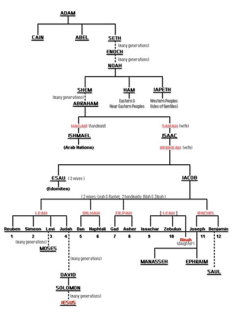 ADAM2.ORG - A Brief Lineage of Old Testament Major Characters Old Testament Family Tree, Old Testament Tattoo, Biblical Genealogy, Old Testament Art, Old Testament Timeline, Lineage Of Jesus, Bible Recap, Bible Family Tree, Genesis Bible Study