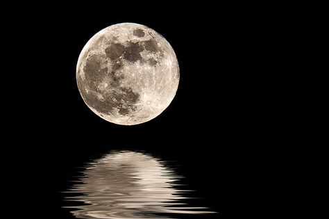 We only get to see one side of the moon -- this side.  The other side is never facing the earth. Full Moon Photos, Wallpaper Moon, Tattoos Infinity, Shoot The Moon, Moon Shadow, Moon Photos, Moon Moon, Moon Pictures, Super Moon