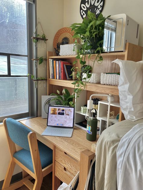 Dorm Desk Decor Ideas, College Dorm Bookshelf, Dorm Decor Inspiration, Dorm Desk Shelves, College Dorm Plants, Dorm Desk Shelf, Dorm Room Desk Aesthetic, Over Desk Storage, Dorm Inspo Boho