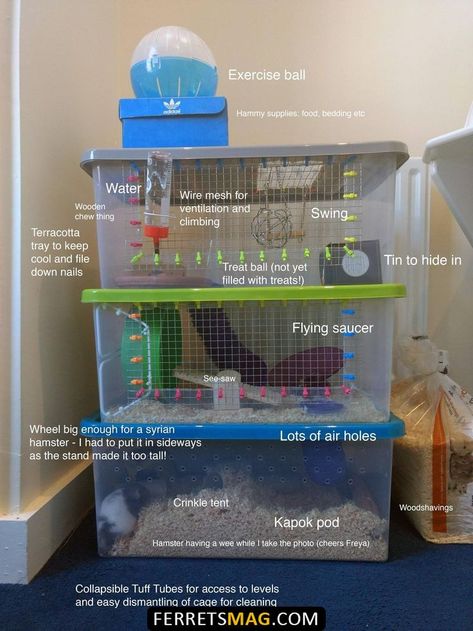 Cheap Hamster Cage Ideas, Hamster House Ideas Diy, Diy Hamster Cage Homemade, Homemade Hamster Cage, Homemade Hamster Toys, Hamster House Ideas, Diy Hamster House, Kandang Hamster, Ferret Food