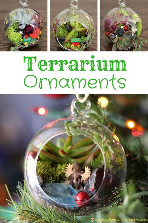 Diy Terrarium Ornament, Air Plant Christmas Ornaments, Terrarium Christmas Ornaments Diy, Biology Ornaments Diy, Terrarium Ornaments Christmas, Succulent Ornament Christmas, Science Ornaments Diy, Terrarium Christmas Ideas, Biology Christmas Ornaments