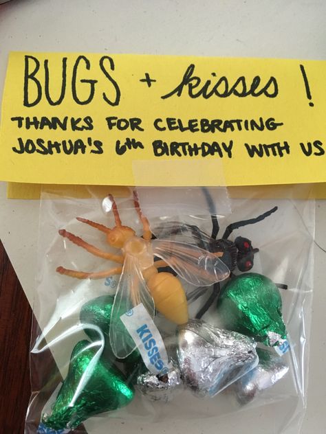 Bug Theme Party Favors, 3rd Birthday Bug Party, Bug Themed Second Birthday, Bug Themed Birthday Party Favors, June Bug Birthday Theme, Two Year Old Bug Birthday, Bug Themed Birthday Party Activities, Nature Birthday Party Favors, Ant Themed Party