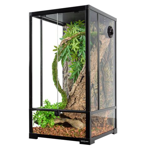 Gecko vivarium