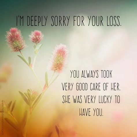 Sympathy Messages for the Loss of a Mother | I'm Sorry She's Gone Loss Of Your Mother, Losing A Mother, Condolences Messages For Loss, Sympathy Messages For Loss, The Loss Of A Mother, Loss Of A Mother, Losing Your Mother, Friendship Day Images, Words Of Sympathy