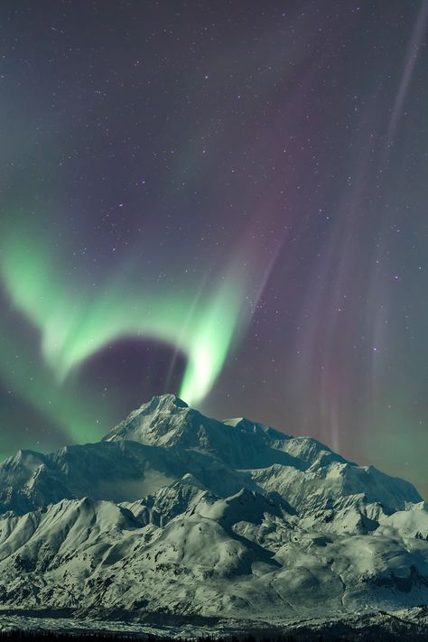 Moonlit Northern lights over Denali in Alaska. [OC] [3696x5545] Click the link for this photo in Original Resolution. If you have Twitter follow twitter.com/lifeporn5 for more cool photos. Thank you author: http://bit.ly/37Bp3jW Broadcasted to you on Pinterest by pinterest.com/sasha_limm Have The Nice Life! Alaska Landscape Photography, Northern Lights In Alaska, Life In Alaska, Alaska Lights, Northern Lights Alaska, Alaska Denali, Alaska Landscape, Alaska Life, Alaska Nature