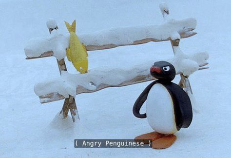 Angry Profile, Angry Pingu, Reaction Meme, I Love, On Twitter, Twitter, On Instagram, Instagram