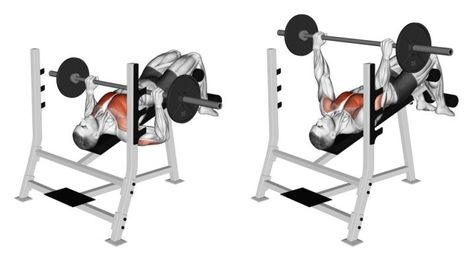 Barbell Decline Press Bench Press Muscles Worked, Decline Bench Press, Barbell Press, Chest Fly, Incline Bench, Pectoral Muscles, Barbell Workout, Heavy Weight Lifting, Smith Machine