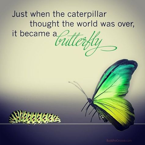 Time For Change Quotes. QuotesGram Just When The Caterpillar Thought, People Change Quotes, Butterfly Transformation, No Ordinary Girl, Butterfly Quotes, Trendy Quotes, Change Quotes, Inspirational Thoughts, E Card