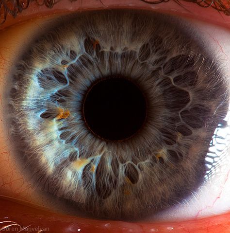 17 Beautiful Macro Photos Of The Human Eye Macro Photography Eyes, Eye References, Macro Fotografia, Foto Macro, Eye Close Up, Behind Blue Eyes, Microscopic Images, Eye Eye, Extreme Close Up