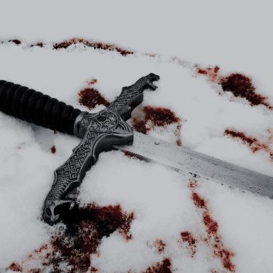 Blood On Snow, Half Elf, Targaryen Aesthetic, House Stark, Avicii, Fantasy Aesthetic, High Fantasy, Throne Of Glass, Elder Scrolls