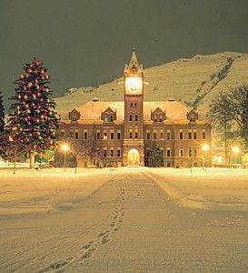 University of Montana Events - The University Of Montana University Of Montana Grizzlies, Grizzlies Football, Montana Grizzlies Football, Montana Grizzlies, College Lifestyle, Montana State University, University Of Montana, College Motivation, College List