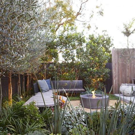 Coastal garden Sydney, garden design, landscape design eastern suburbs Circular Fire Pit, Australian Garden Design, Outdoor Fire Pit Table, Fire Screen, Corner Garden, Australian Garden, Coastal Gardens, Geek Decor, Plant Supplies