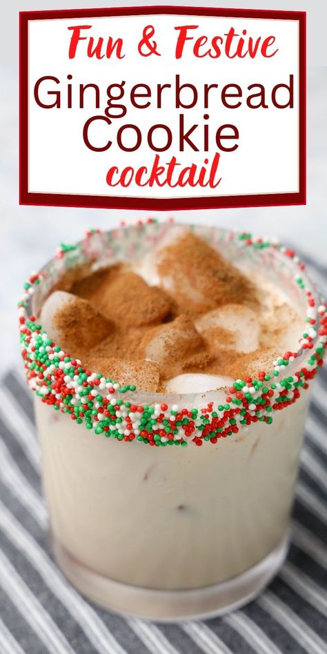 Gingerbread Cocktail, Fun Christmas Cocktails, Baileys Recipes Drinks, Fun Holiday Cocktails, Easy Gingerbread Cookies, Christmas Drinks Alcohol Recipes, Christmas Party Drinks, Christmas Drinks Recipes, Gingerbread Syrup