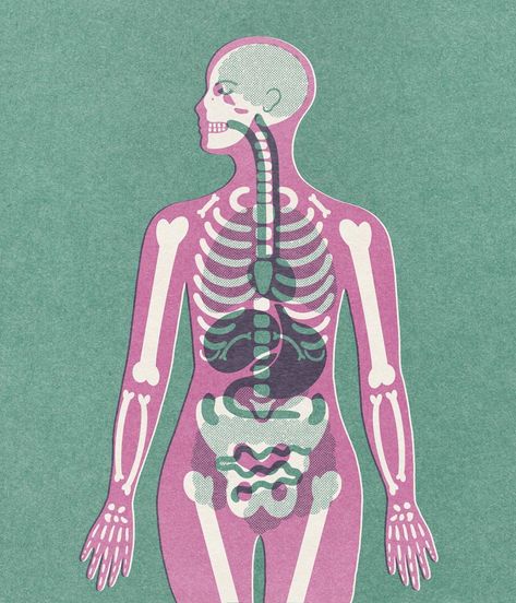 From textbooks to tech: Discover how human anatomy illustrations shape our understanding of the body in booth scientific and engaging ways! Human Anatomy Illustration, Anatomy Skeleton, Anatomy Education, Anatomy Illustration, Florence Art, What Is Human, Medical Posters, Skeleton Illustration, Human Body Anatomy