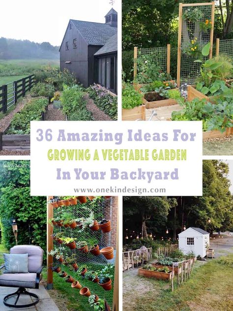 36 Amazing Ideas For Growing A Vegetable Garden In Your Backyard Garden Oasis Backyard, Vegetable Garden Planner, Raised Vegetable Gardens, Small Vegetable Gardens, Vegetable Garden Ideas, Backyard Vegetable Gardens, Potager Garden, Garden Design Layout, Garden Wallpaper