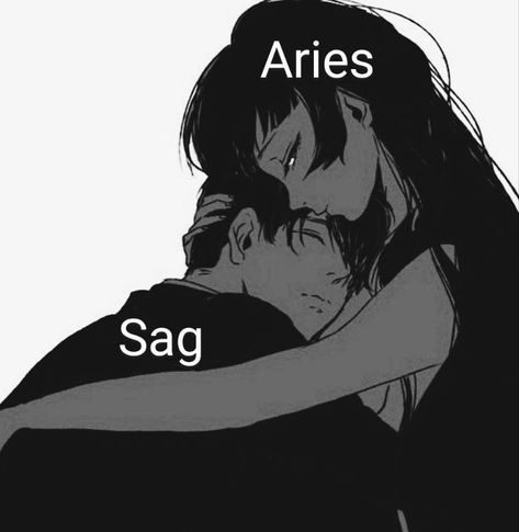 Saggitarius X Aries, Aries Sagittarius Love, Aries Soulmate Sign, Aries X Sagittarius Ship, Aries And Sagittarius Relationship, Sagittarius And Aries, Aries Funny, Aries Sagittarius, Zodiac Sagittarius Facts