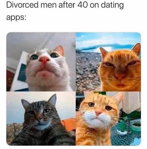 52 Spot-On Posts About Being In Your 40s Baby Memes, Memes Humor, Grumpy Cat, Gothic Lolita, Animal Memes, Best Memes, Catsuit, Bones Funny, Cat Life