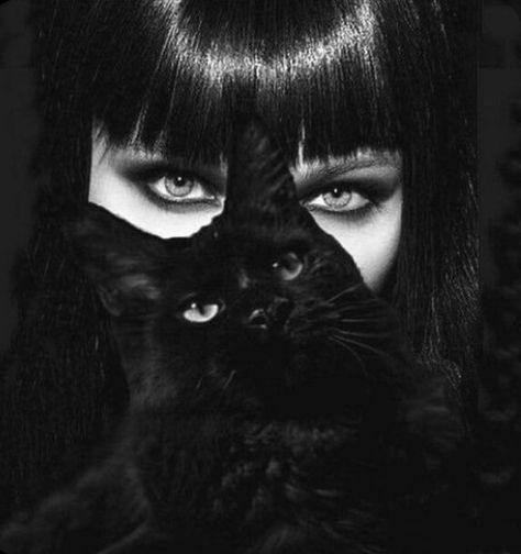 Art Psychology, Black Cat Aesthetic, Glitz And Glamour, Cute Pets, Cat Photography, Cute Wallpaper For Phone, Cat Aesthetic, Black And White Portraits, Dark Photography