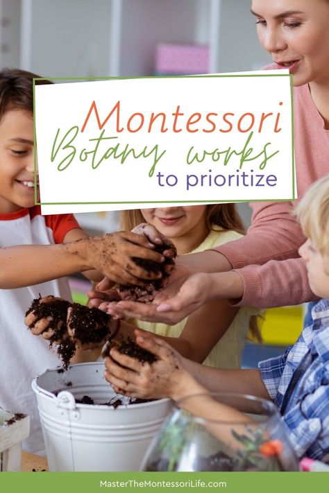 Montessori Botany works to prioritize Gardening Montessori Activities, Botany Activities, Plant Vs Animal Montessori, Montessori Botany Activities, Homeschool Botany, Montessori Garden, Prepared Environment Montessori, Botany Lessons, Montessori Botany