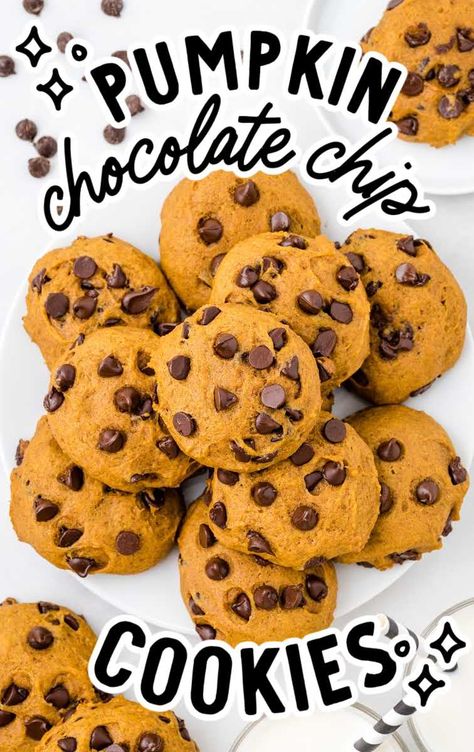 Pumpkin Puree Chocolate Chip Cookies, Pumpkin Cookies With Chocolate Chips, Pumpkin Pie Filling Cookies, Pumpkin Puree Cookies, Pumpkin Puree Desserts, Pumpkin Cookies Chocolate Chip, Easy Pumpkin Cookies, Soft Pumpkin Chocolate Chip Cookies, Pumpkin Puree Recipes