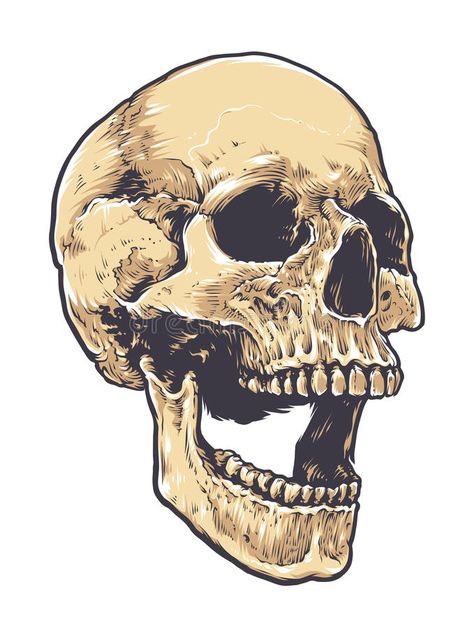 Skull Vector Art, Evil Head, Rock Skeleton, Fall Drawings, Head Background, Skull Art Drawing, Spooky Tattoos, Skull Illustration, Skeleton Art