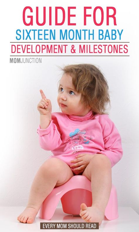 16 Month Old Development, Pull Ups Training Pants, Baby Developmental Milestones, Baby Development Milestones, Baby Development Activities, Potty Training Girls, Toddler Milestones, Potty Training Boys, Starting Potty Training