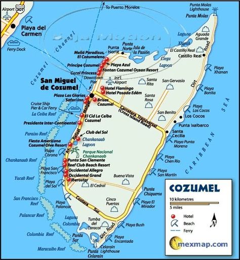 Cozumel Things to do on Your Own - Cozumel My Cozumel Cozumel Mexico Map, Cozumel Map, Cozumel Snorkeling, Carnival Paradise, Cozumel Cruise, Carnival Fantasy, Carnival Breeze, Carribean Cruise, Mexico Map