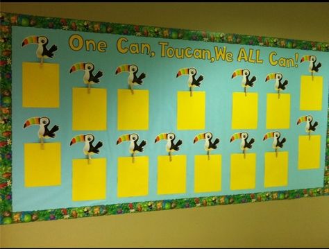 Jungle bulletin board. One can, tucan, we all can! Pineapple Chart, Jungle Bulletin Boards, Pineapple Classroom, Safari Classroom, Back To School Highschool, Classroom 2023, Tropical Classroom, Kindergarten Bulletin Boards, Jungle Theme Classroom