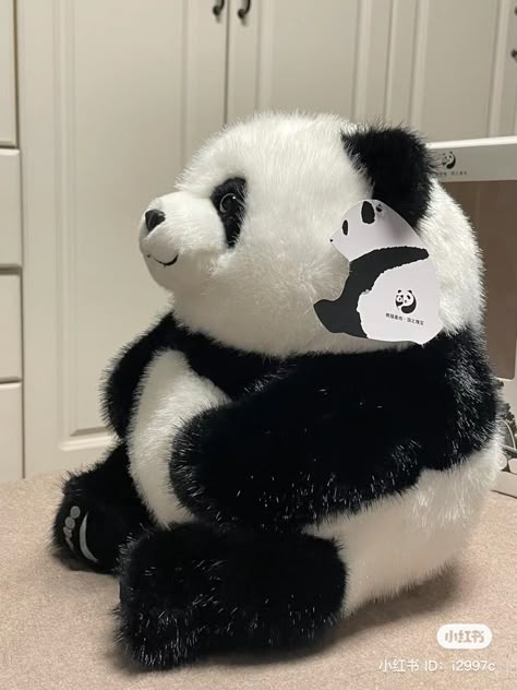 Panda Teddy Bear Snapchat, Panda Soft Toy Aesthetic, Panda Soft Toy, Big Panda Teddy Bear, Panda Toys Teddy Bears, Tiny World, Selfie Poses, Cute Stuffed Animals, Brown And Grey