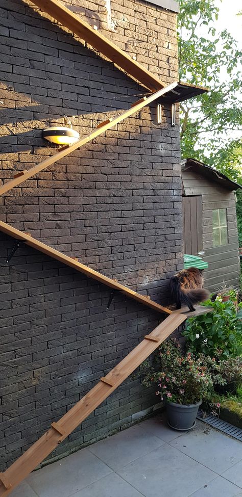 Cat stairs (#QuickCrafter) Stairs For Cats Ideas, Outdoor Cat Stairs, Cat Stairs For Bed, Wall Cat Playground, Cat Ramps On Wall, Cat Stairs On Wall, Diy Cat Stairs, Stairs For Cats, Cat Highway