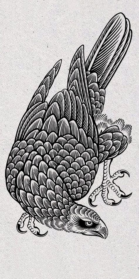 Hawk Illustration Drawings, Woodcut Bird Tattoo, Vintage Eagle Illustration, Cross Hatch Tattoo, Woodcut Drawing, Tattoo Woodcut, Hawk Illustration, Hawk Drawing, Hawk Art