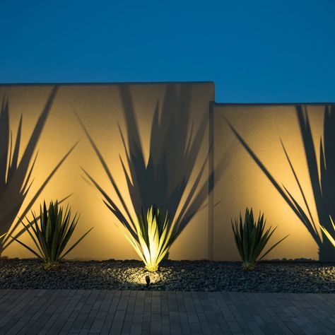 Modern Backyard Decor, Landscaping Lights Around Pool, Modern Backyard Lighting, Palm Springs Backyard Landscaping, Backyard Landscaping Desert Ideas, Palm Springs Desert Landscape, Backyard Modern Landscaping, Palm Springs Yard, Palm Springs Landscaping Front Yards