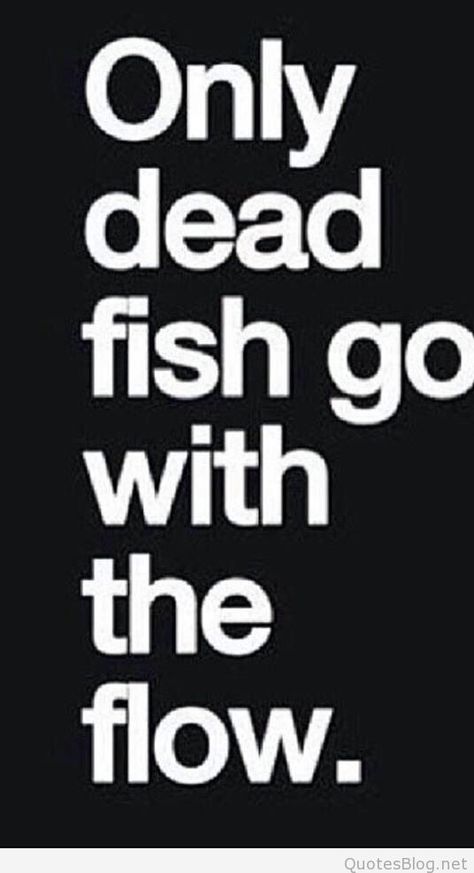 Famous Inspirational Quotes, Dead Fish, Go With The Flow, Quotable Quotes, Sarcastic Quotes, The Words, Great Quotes, Wisdom Quotes, Words Quotes