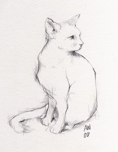 Sitting Cat Sketch, Cat Drawing Sitting, Sitting Cat Drawing, Cat Sitting Drawing, Cat Sitting Down, Art Trading Cards, Cat Illustrations, Animal Drawings Sketches, Cat Sketch