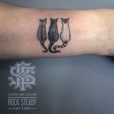 awesome cat tattoo ideas © tattoo artist ✿ Salmontattoo Austin ✧ @pettattoo.salmon ✿ ♡🧿♡🧿♡ #cattattoos #cooltattoos #inked #tattoolvoe #tattooinspiration #cats #besttattooideas Multiple Cat Tattoo Ideas, Three Cat Tattoo Design, Three Cat Tattoo, Three Cats Tattoo, 3 Cat Tattoo, 3 Cats Tattoo, Portrait Tattoo Sleeve, Cat Portrait Tattoos, Dog Portrait Tattoo