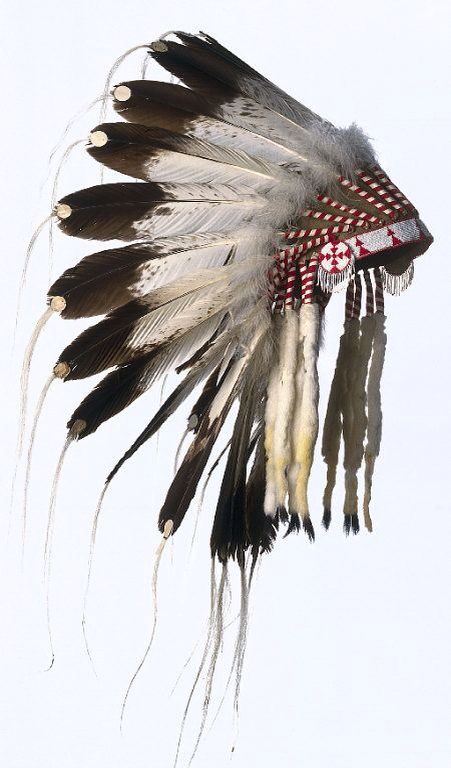 . Headdress Tattoo, Native American Headdress, Native American Clothing, Wilde Westen, Indian Headdress, Native American Peoples, Native American Heritage, American Indian Art, Native American Tribes