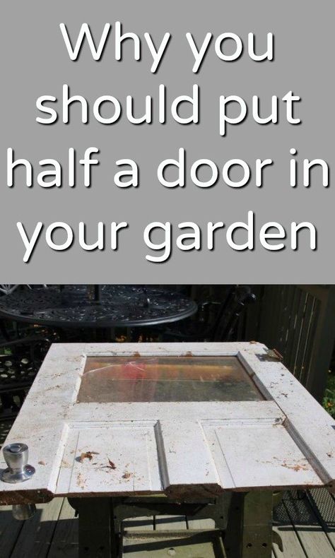 Got an old door lying around? This is super cute Wood Decorating Ideas, Old Door Decor, Old Door Projects, Diy Privacy Fence, Recycled Door, Wood Yard Art, Old Wooden Doors, Yard And Garden, Rock Sculpture