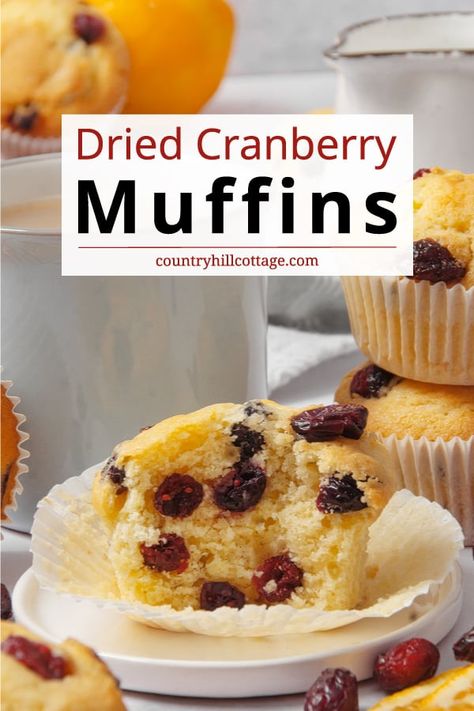 Cranberry Orange Muffins Using Craisins, Lemon Cranberry Muffins With Dried Cranberries, Orange Craisin Muffins, Dried Fruit Muffins, Dried Cranberry Muffins, Craisin Muffins, Breakfast Thanksgiving, Dried Cranberries Recipes, Cranberry Orange Muffin Recipe