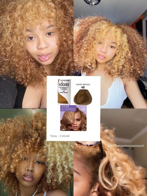 Dye Ginger Hair, Wolf Cut Curtain Bangs, Hair Dye Ginger, 1c Hair, Honey Brown Hair Dye, Hair Graffiti, Afro Hair Dye, Adore Hair Dye, Dyed Curly Hair