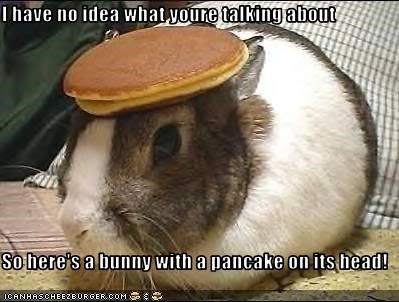 I have no idea what youre talking about  So here's a bunny with a pancake on its head! Cheer Up Funny, Bunny Pancakes, Cheer Up Quotes, Rabbit Pictures, Cheer Someone Up, Wallpaper Disney, Funny Animal Jokes, Funny Bunnies, Memes Humor