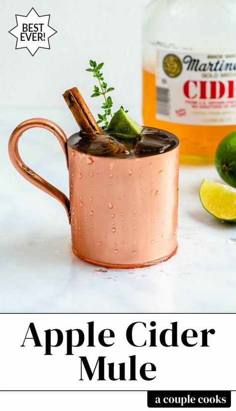 This apple cider mule is an easy, festive fall cocktail! This seasonal spin on the Moscow mule features cider and ginger beer. #fall #fallcocktail #falldrink #moscowmule #applecidermule #cidermule #mule #drink #fall Fall Themed Drinks, Girls Night Drinks Cocktails, Vodka Apple Cider, Apple Cider Mule, Cider Mule, Mule Drink, Holiday Party Drinks, Seasonal Cocktails, Apple Cider Drink