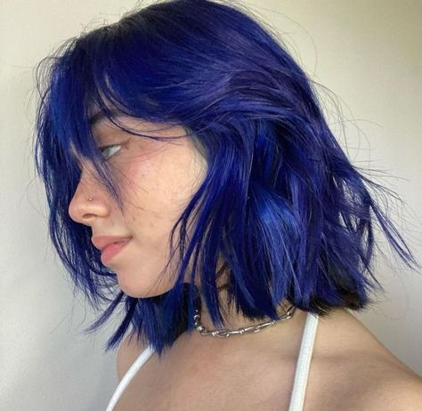 Blue Underhair, Blue Shoulder Length Hair, Fun Hair Color Ideas For Brunettes Short, Coraline Blue Hair, Short Dark Blue Hair, Blue Hair Short, Blue Hair Aesthetic, Short Blue Hair, Royal Blue Hair