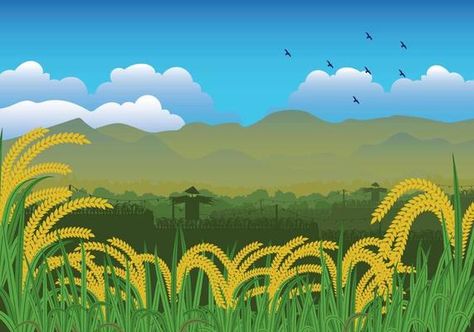 Agriculture Aesthetic Drawing, Rice Field Drawing, Rice Field Illustration, Money Animation, Really Cool Backgrounds, Field Illustration, Illustrations Ideas, Pot Painting, Rice Field