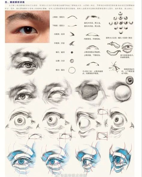 Art tutoraial. This part: portrait #arttutorial #eyedrawing #artteachersofinstagram #artcollector #artcollective #structural… | Instagram Eyes Anatomy Drawing, Eye Structure, Eye Study, Eye Anatomy, Head Anatomy, Drawing Study, Academic Drawing, Portrait Tutorial, Face Anatomy