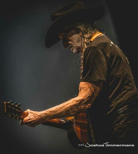 Country Music Stars, Willie Nelson, Music Star, Master Chief, Country Music, Man Cave, Energy, Concert, Stars