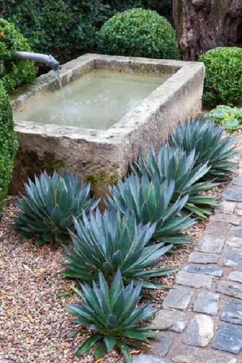 Moderne Have, Garden Troughs, Taman Air, Seaside Garden, Fountains Backyard, Modern Garden Design, Outdoor Fountain, Landscape Designs, Water Features In The Garden